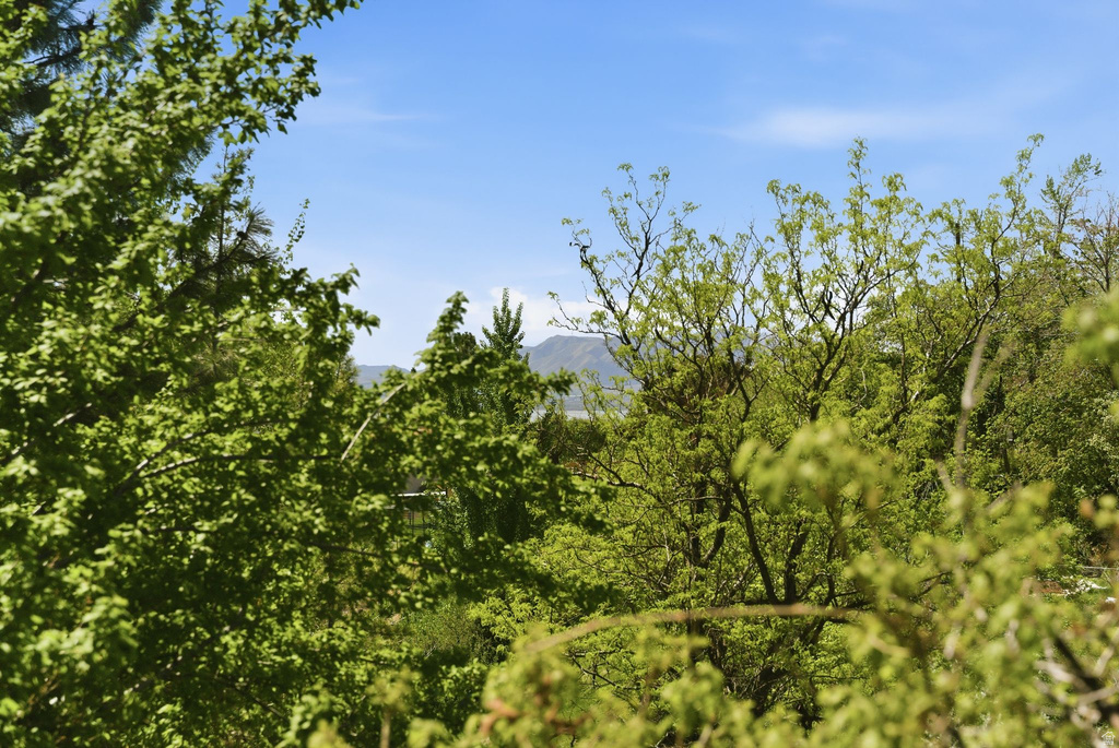 2215 N 1400 E Provo, UT 84604