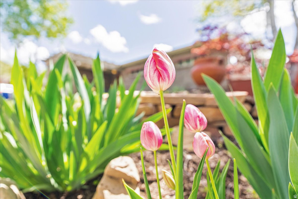 2506 E DOWNINGTON AVE Salt Lake City, UT 84108