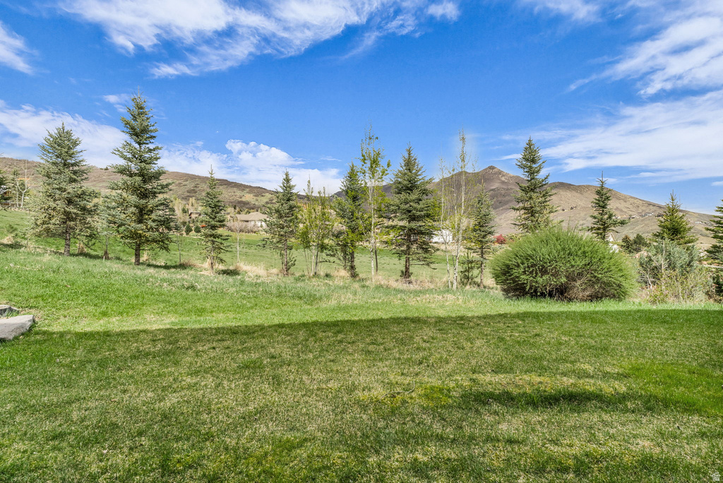 984 URI LN #D-6 Midway, UT 84049