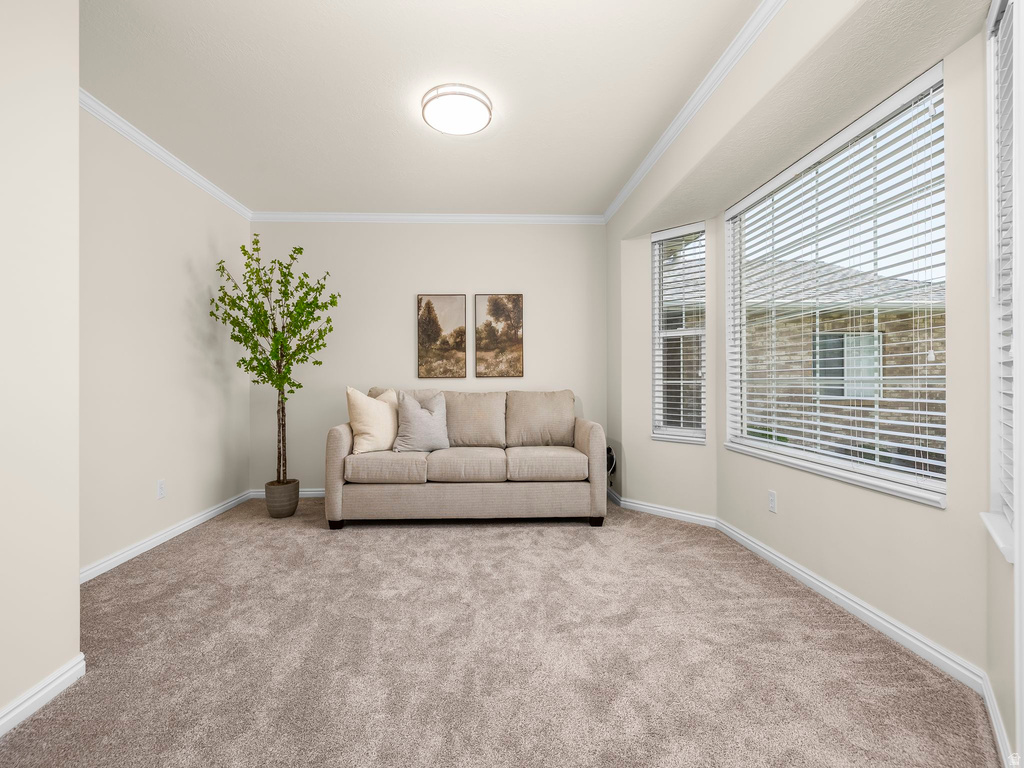 42 N 550 E Orem, UT 84097