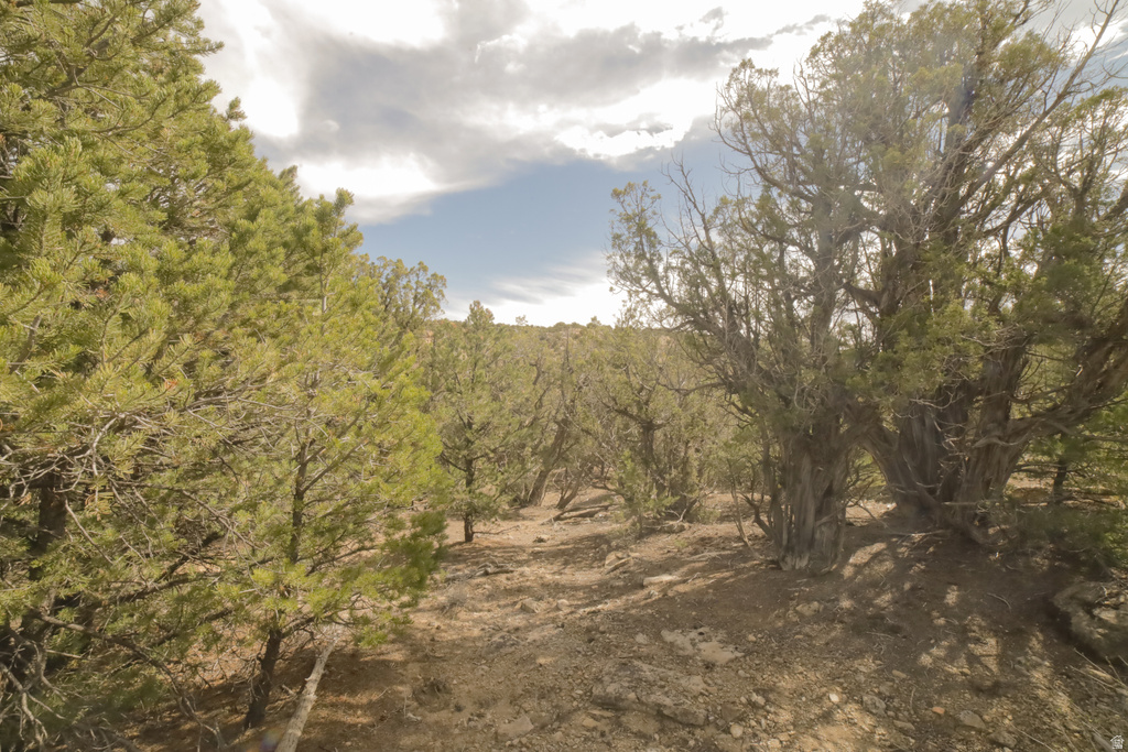  Duchesne, UT 84021