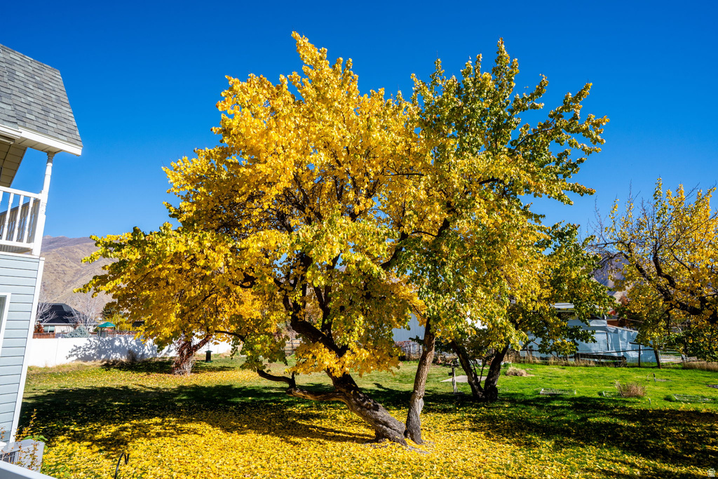 1294 N 1380 W Mapleton, UT 84664