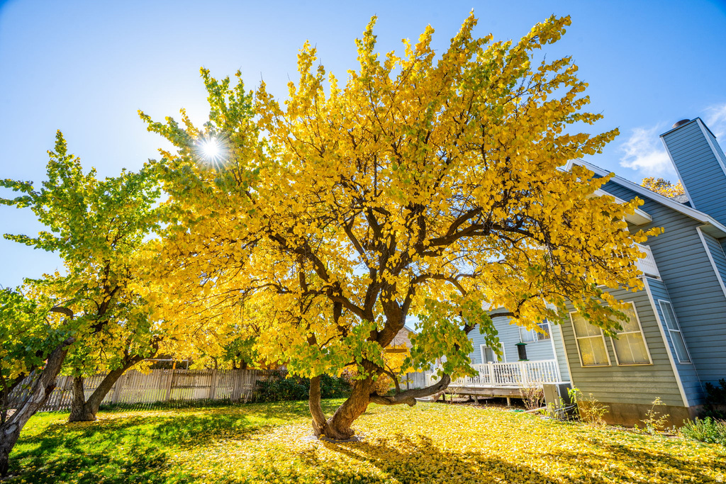 1294 N 1380 W Mapleton, UT 84664