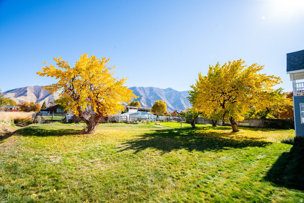 1294 N 1380 W Mapleton, UT 84664