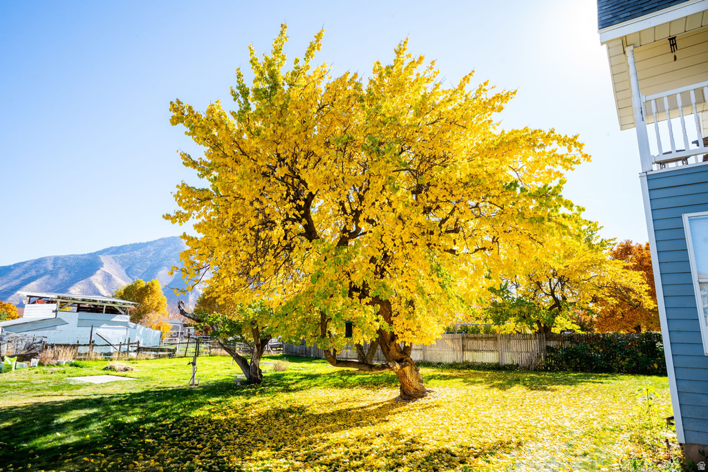 1294 N 1380 W Mapleton, UT 84664