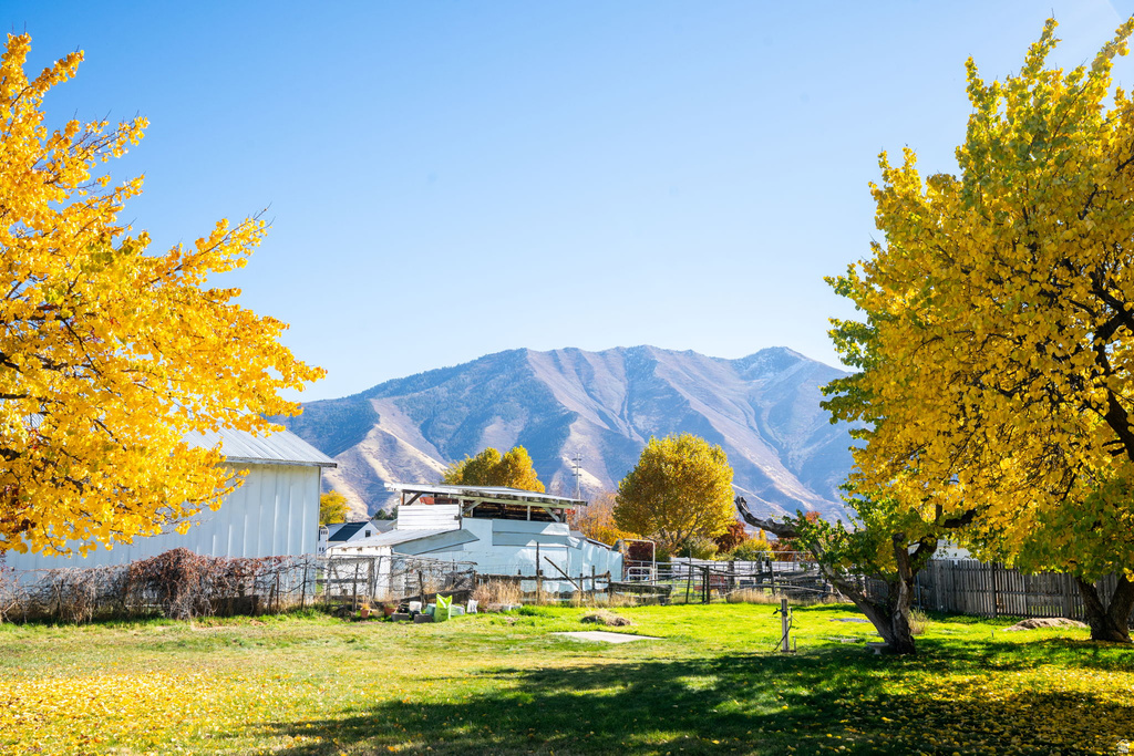 1294 N 1380 W Mapleton, UT 84664