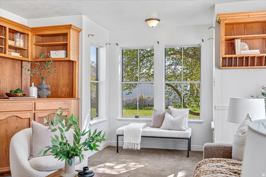 1294 N 1380 W Mapleton, UT 84664