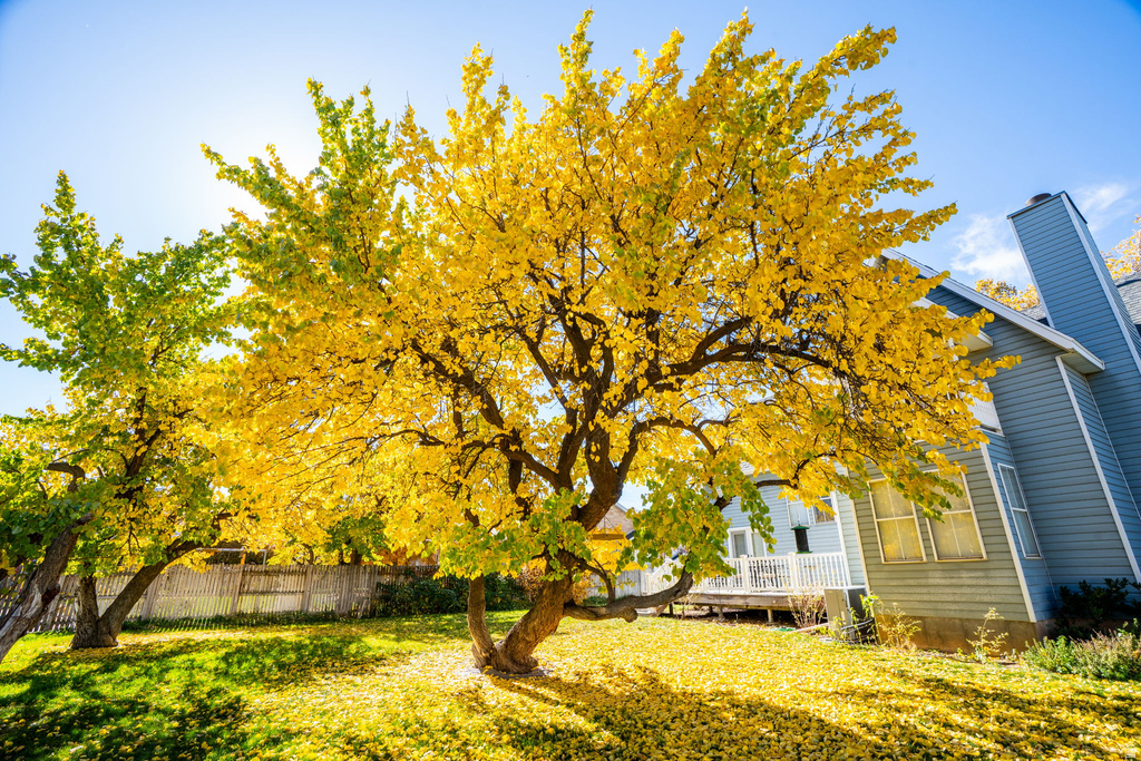 1294 N 1380 W Mapleton, UT 84664