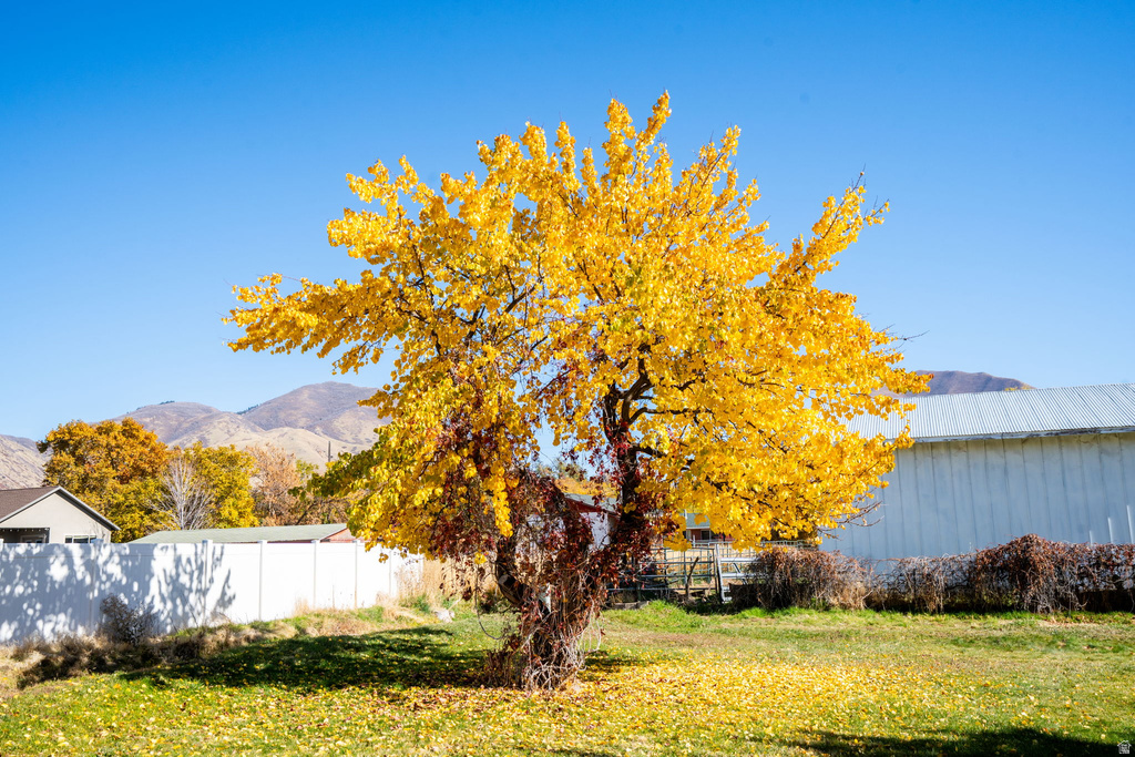 1294 N 1380 W Mapleton, UT 84664