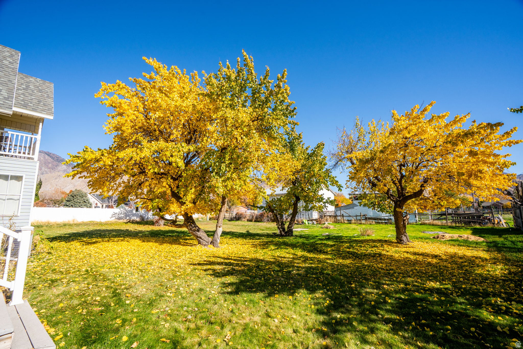 1294 N 1380 W Mapleton, UT 84664