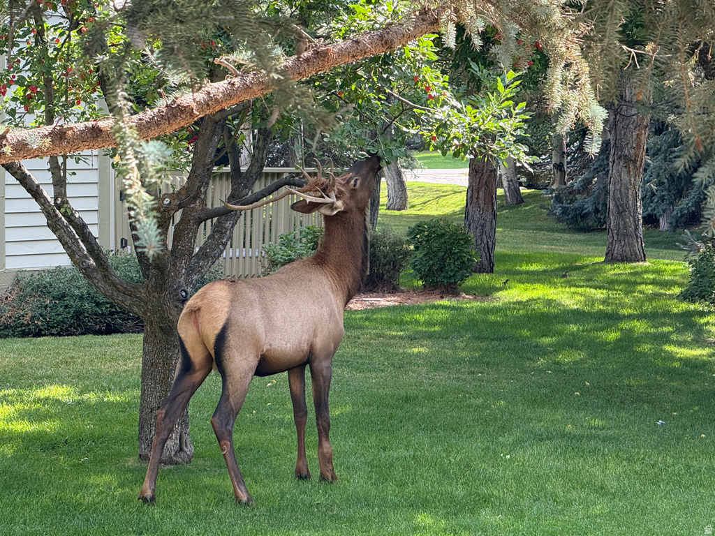 100 SEGURA CT Park City, UT 84060