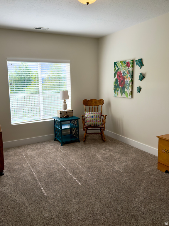 826 S 875 E Pleasant Grove, UT 84062