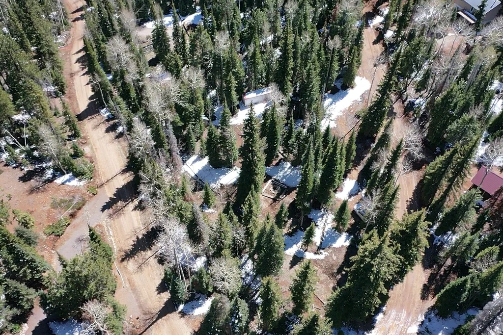 75  BUCKHORN TRAIL Duck Creek Village, UT 84762