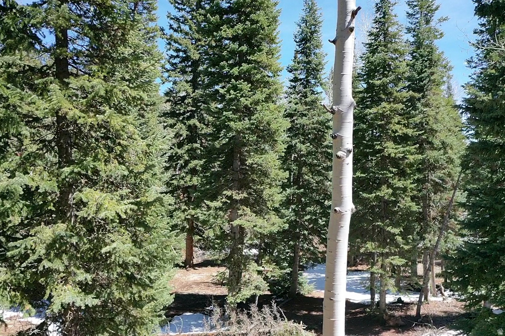 75  BUCKHORN TRAIL Duck Creek Village, UT 84762