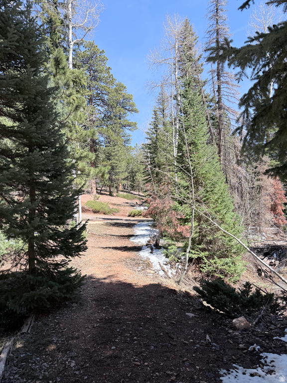 75  BUCKHORN TRAIL Duck Creek Village, UT 84762