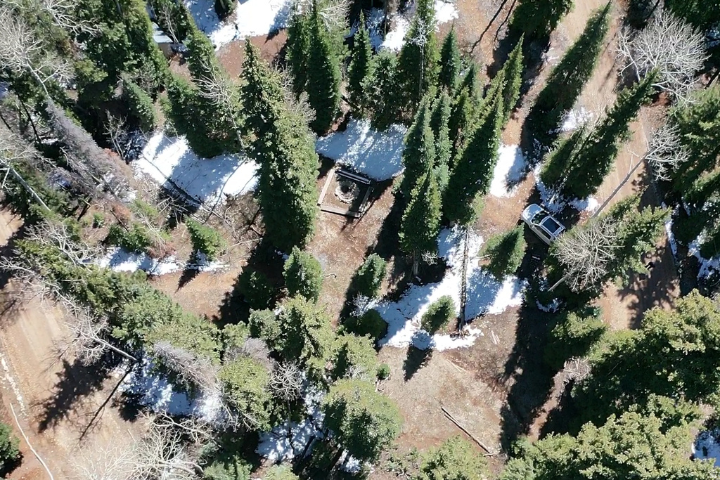 75  BUCKHORN TRAIL Duck Creek Village, UT 84762