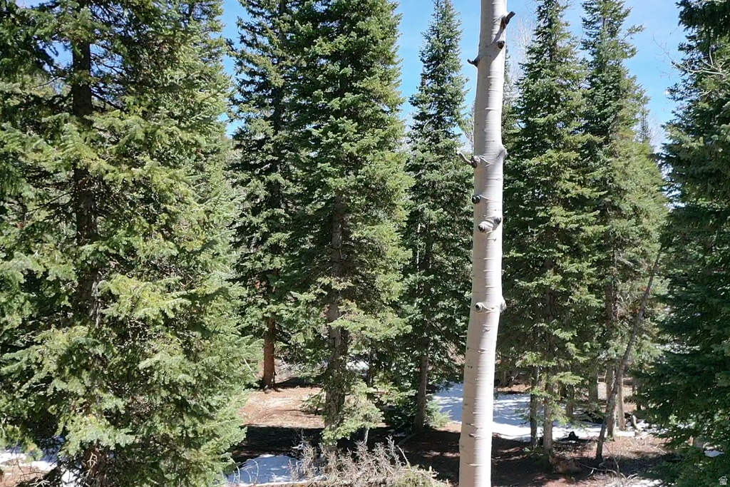 75  BUCKHORN TRAIL Duck Creek Village, UT 84762