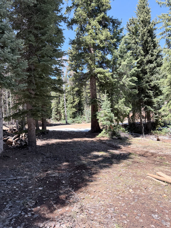 75  BUCKHORN TRAIL Duck Creek Village, UT 84762