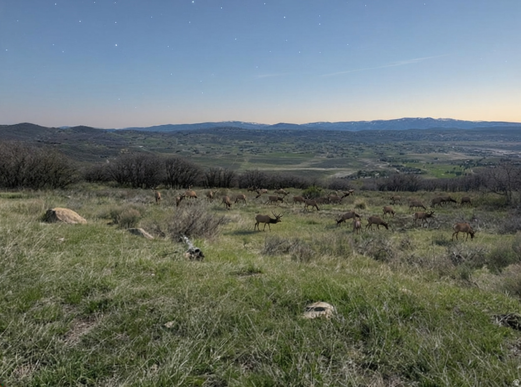 1655 W RED HAWK TRL Park City, UT 84098