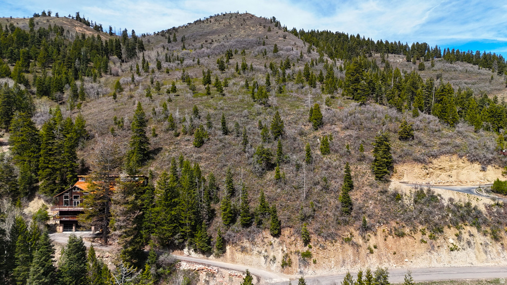 655  MATTERHORN DR Park City, UT 84098