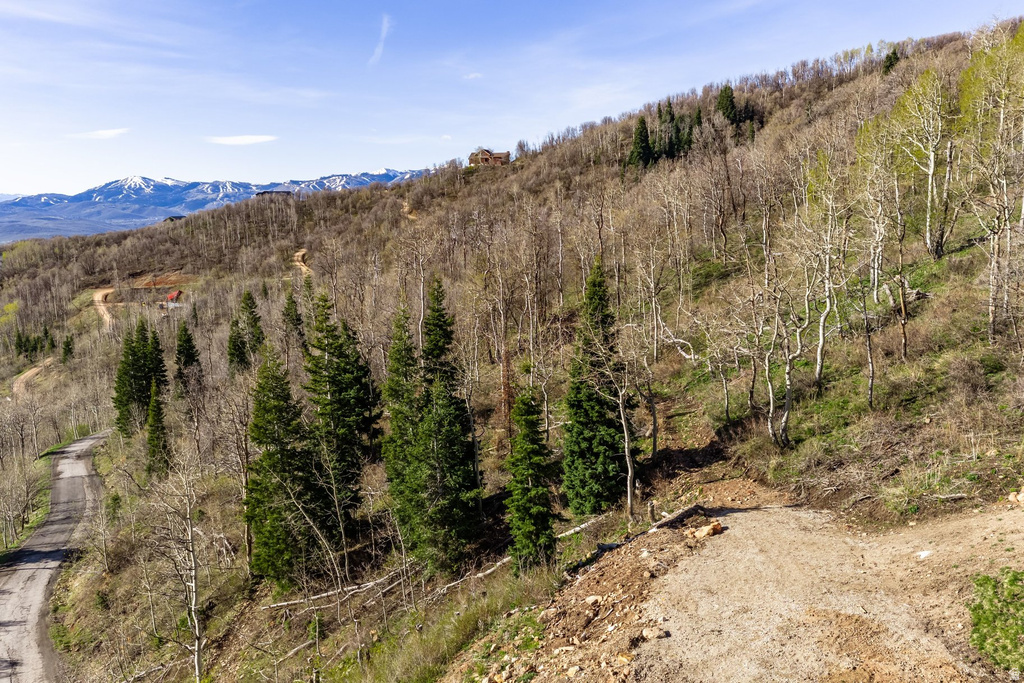 10135 N KIMBALL CANYON RD Park City, UT 84098