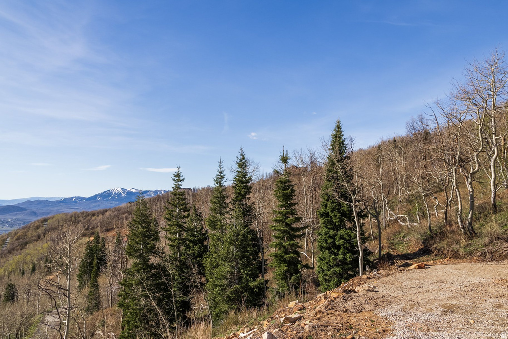 10135 N KIMBALL CANYON RD Park City, UT 84098