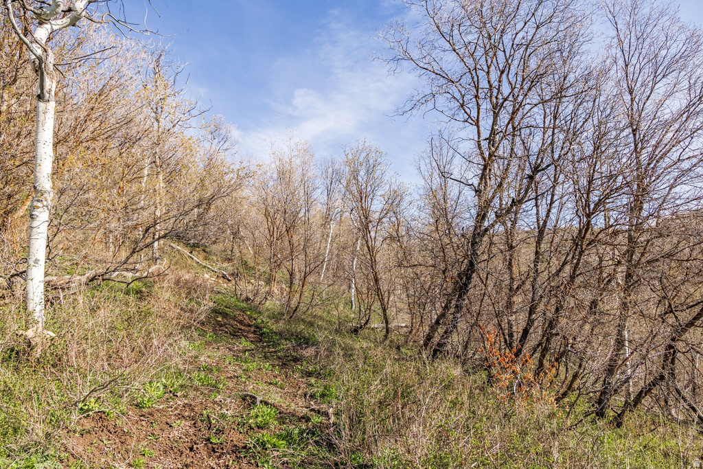 10135 N KIMBALL CANYON RD Park City, UT 84098