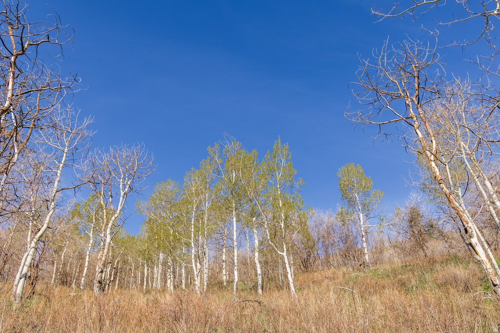 10135 N KIMBALL CANYON RD Park City, UT 84098