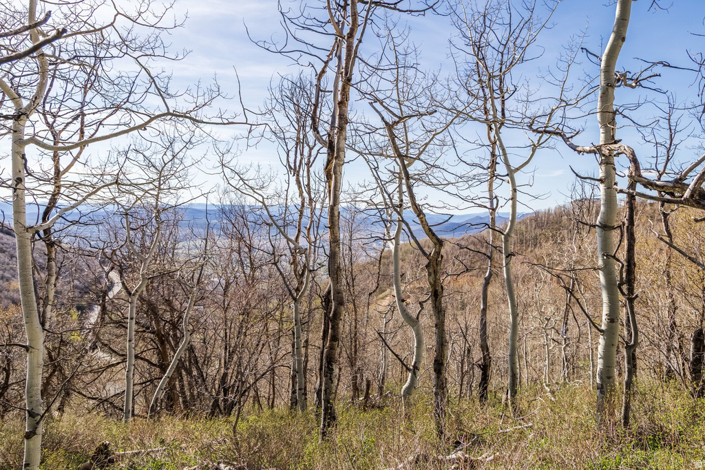 10135 N KIMBALL CANYON RD Park City, UT 84098