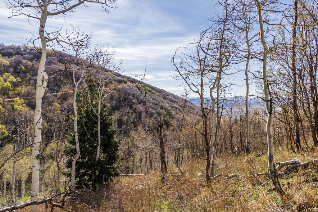 10135 N KIMBALL CANYON RD Park City, UT 84098