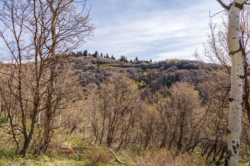 10135 N KIMBALL CANYON RD Park City, UT 84098