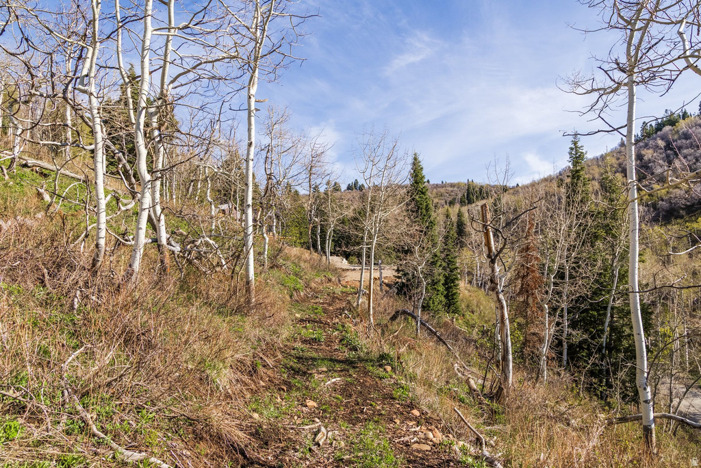 10135 N KIMBALL CANYON RD Park City, UT 84098