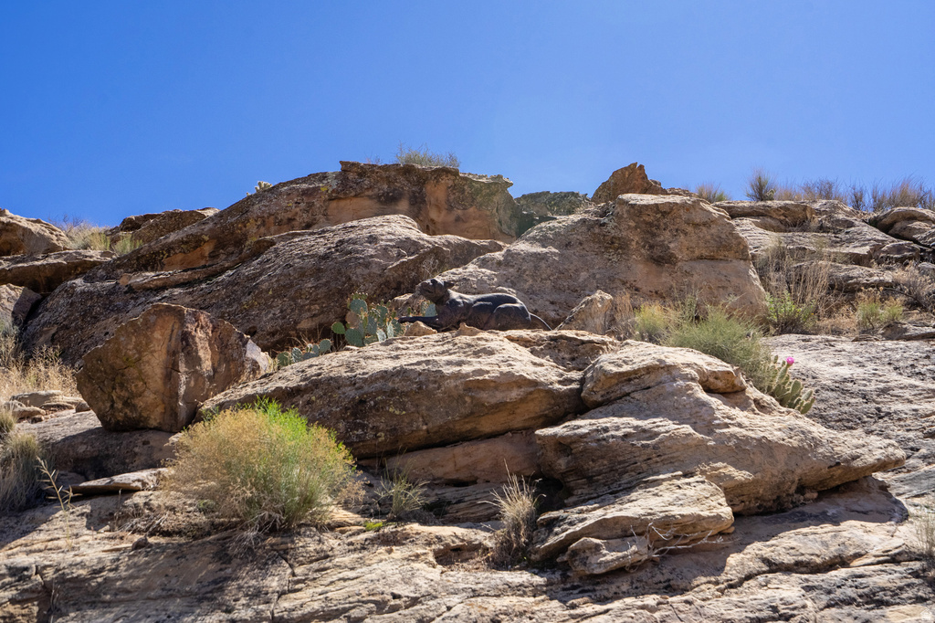 1140 E FORT PIERCE DR #6 St George, UT 84790