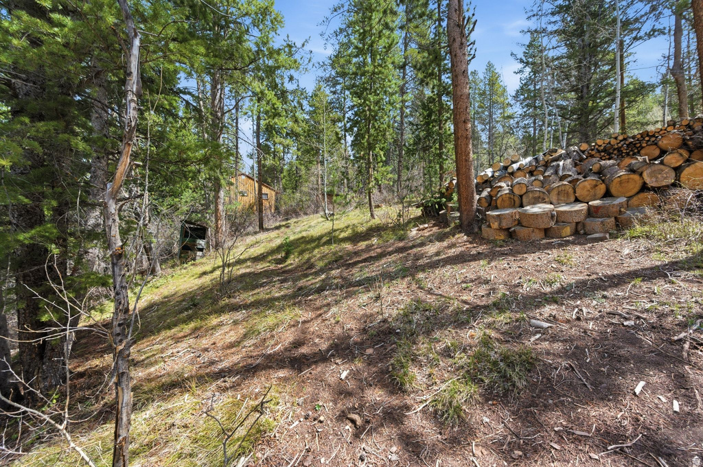 3417 RIVER VU DR #97 96 Oakley, UT 84055