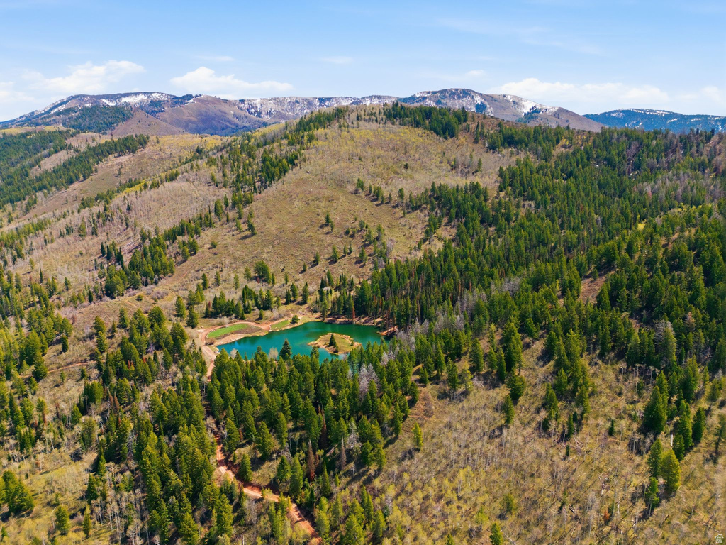 3417 RIVER VU DR #97 96 Oakley, UT 84055