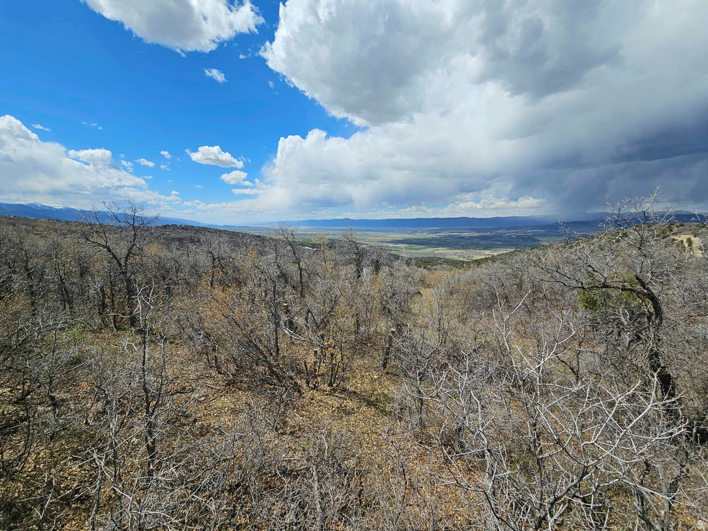 46 E HAWTHORN DR Fairview, UT 84629