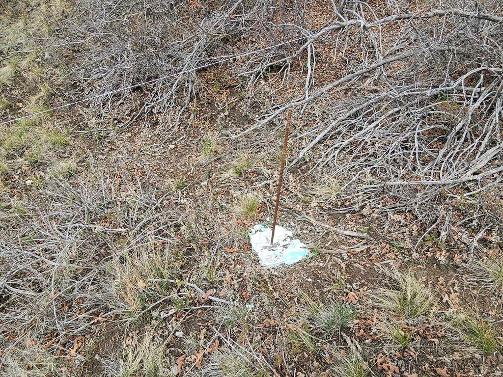 46 E HAWTHORN DR Fairview, UT 84629