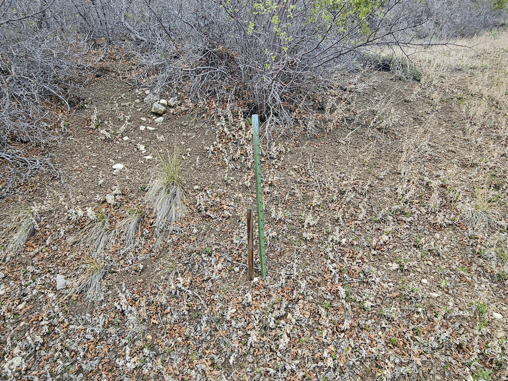 46 E HAWTHORN DR Fairview, UT 84629