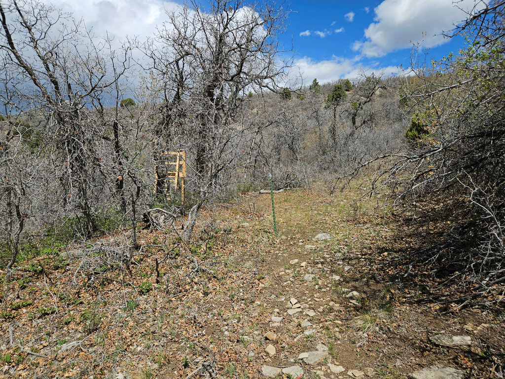 46 E HAWTHORN DR Fairview, UT 84629