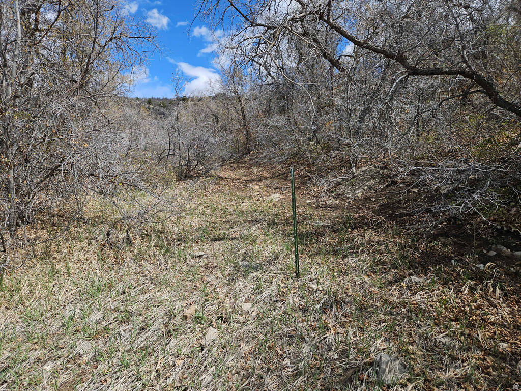 46 E HAWTHORN DR Fairview, UT 84629