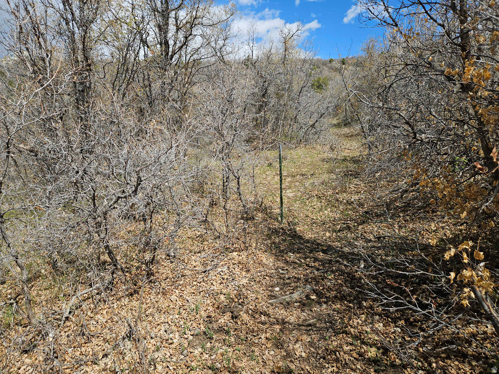 46 E HAWTHORN DR Fairview, UT 84629