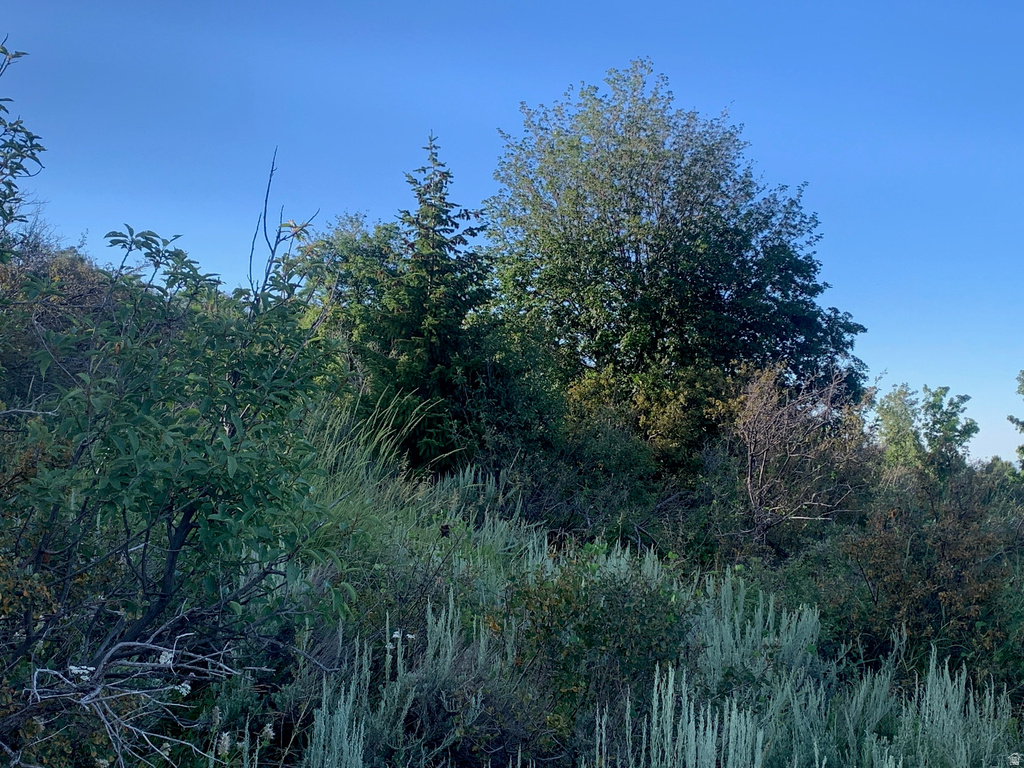 2691 S SWEETWATER PKWY Garden City, UT 84028