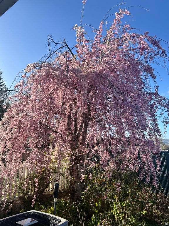 83 W 200 N Centerville, UT 84014