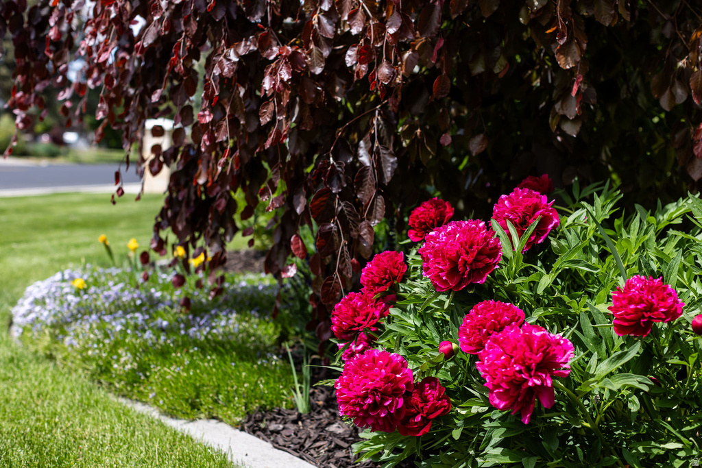 1060 N 1600 E Logan, UT 84341