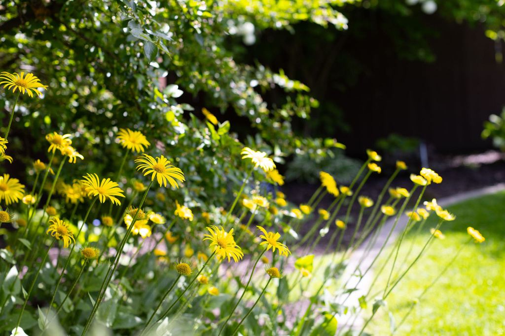 1060 N 1600 E Logan, UT 84341