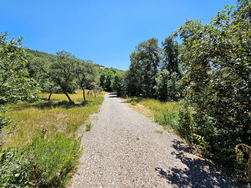 31 JUNIPER DR #31 Fairview, UT 84629