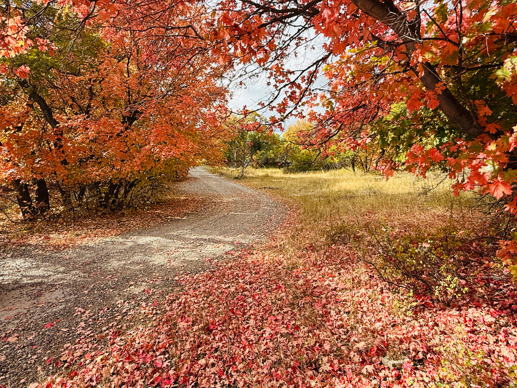 31 JUNIPER DR #31 Fairview, UT 84629