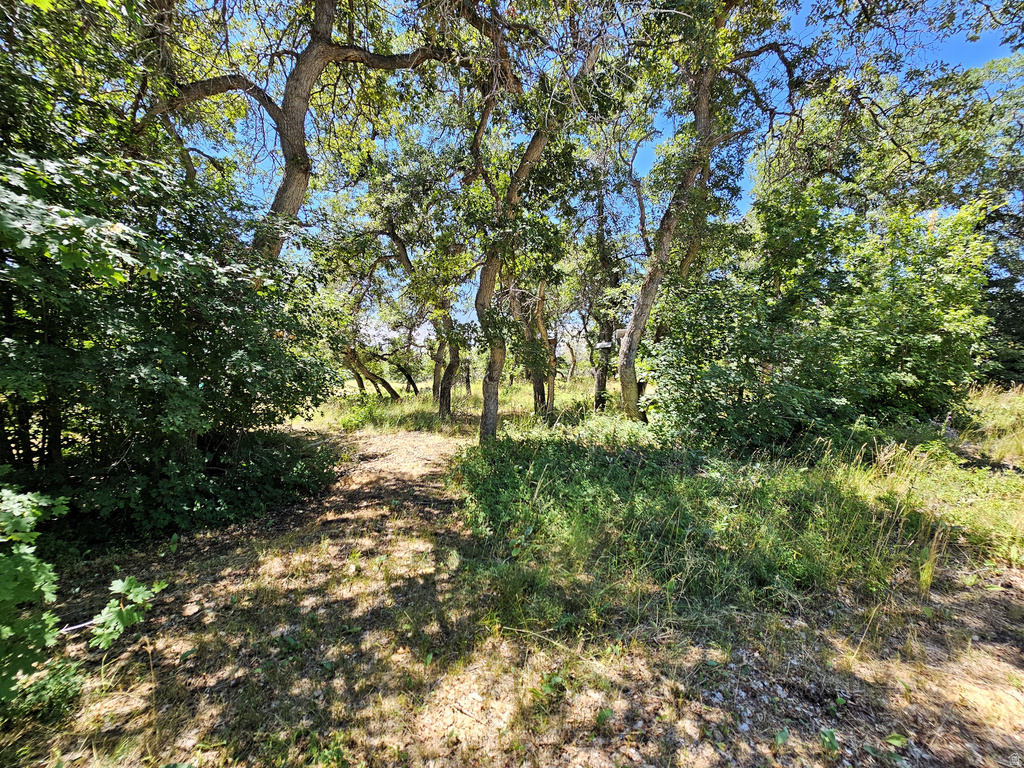 31 JUNIPER DR #31 Fairview, UT 84629