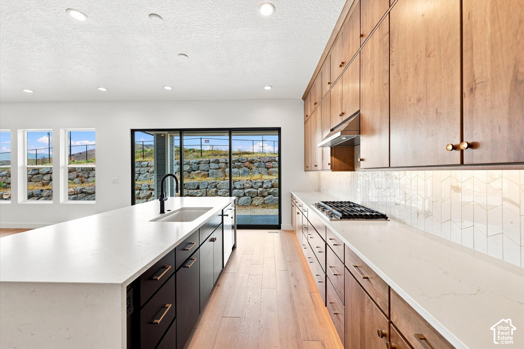 2427 SALVIA DR photo 4