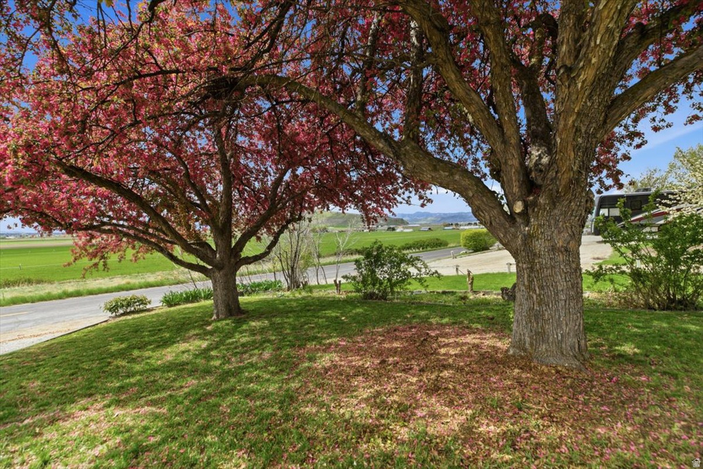 3107 E CUB RD Franklin, ID 83237